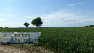Ce sont 1 523 personnes de la société civile qui ont répondu à la consultation en ligne lancée en octobre par les chambres d’agriculture. © A. Cassigneul/GFA Ce sont 1 523 personnes de la société civile qui ont répondu à la consultation en ligne lancée en octobre par les chambres d’agriculture. © A. Cassigneul/GFA